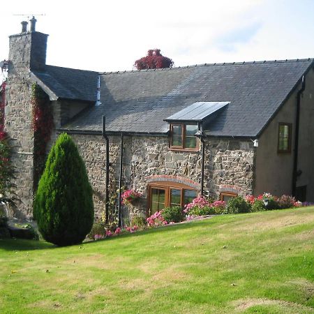 Tan Y Graig Bed and Breakfast Meifod Εξωτερικό φωτογραφία