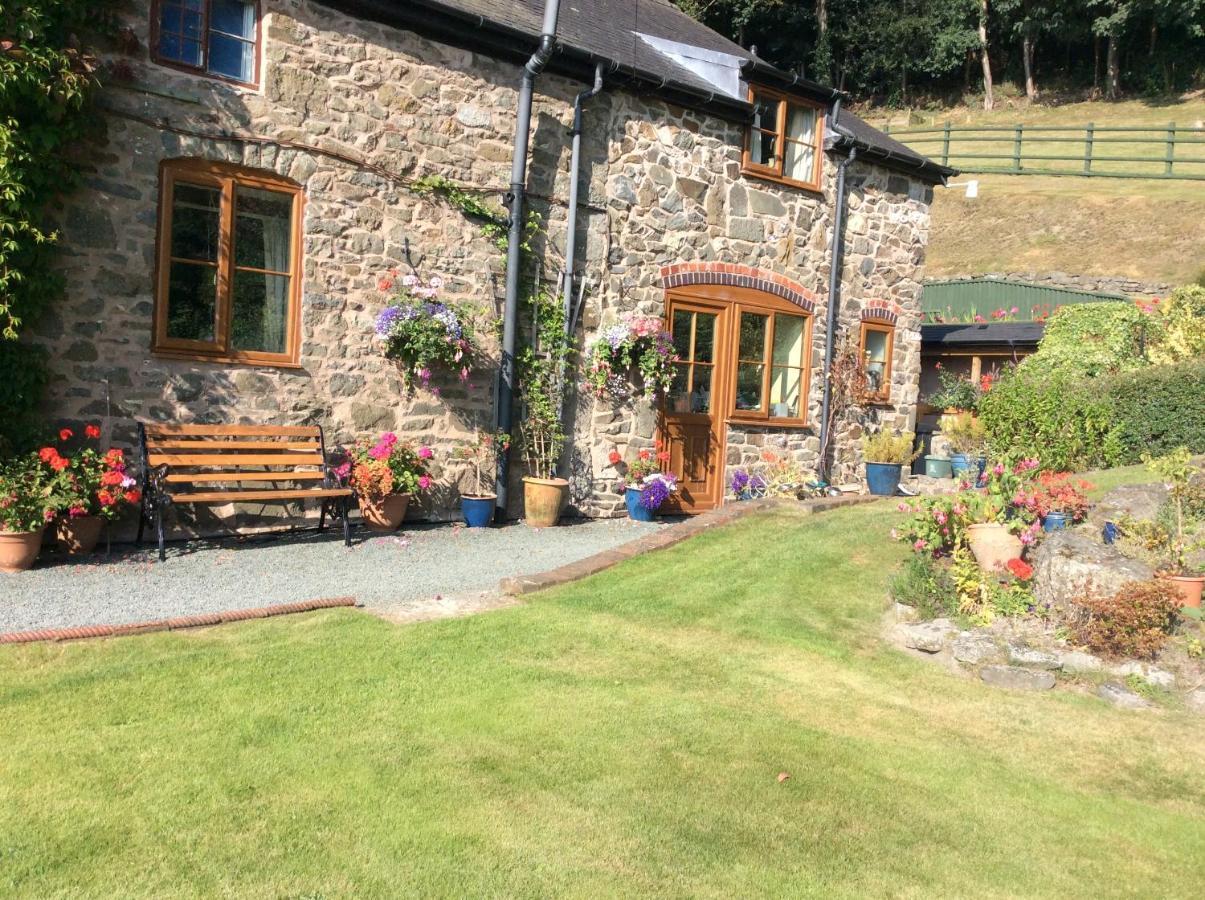Tan Y Graig Bed and Breakfast Meifod Εξωτερικό φωτογραφία