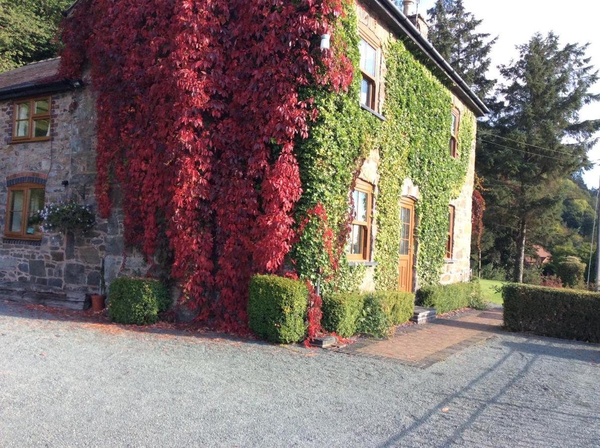 Tan Y Graig Bed and Breakfast Meifod Εξωτερικό φωτογραφία